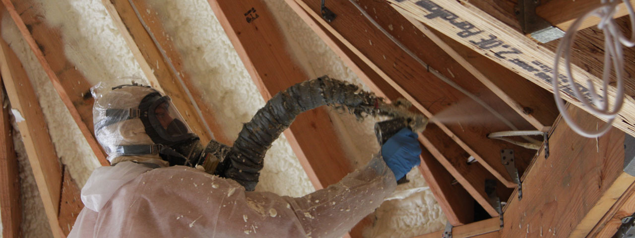  Hawaii Attic Insulation Spray Foam